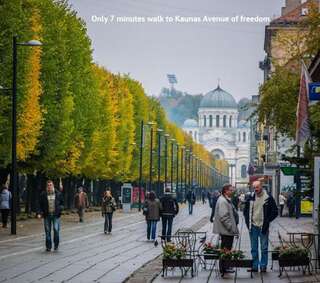 Апартаменты Petro delux apartments Каунас Двухуровневые апартаменты-40